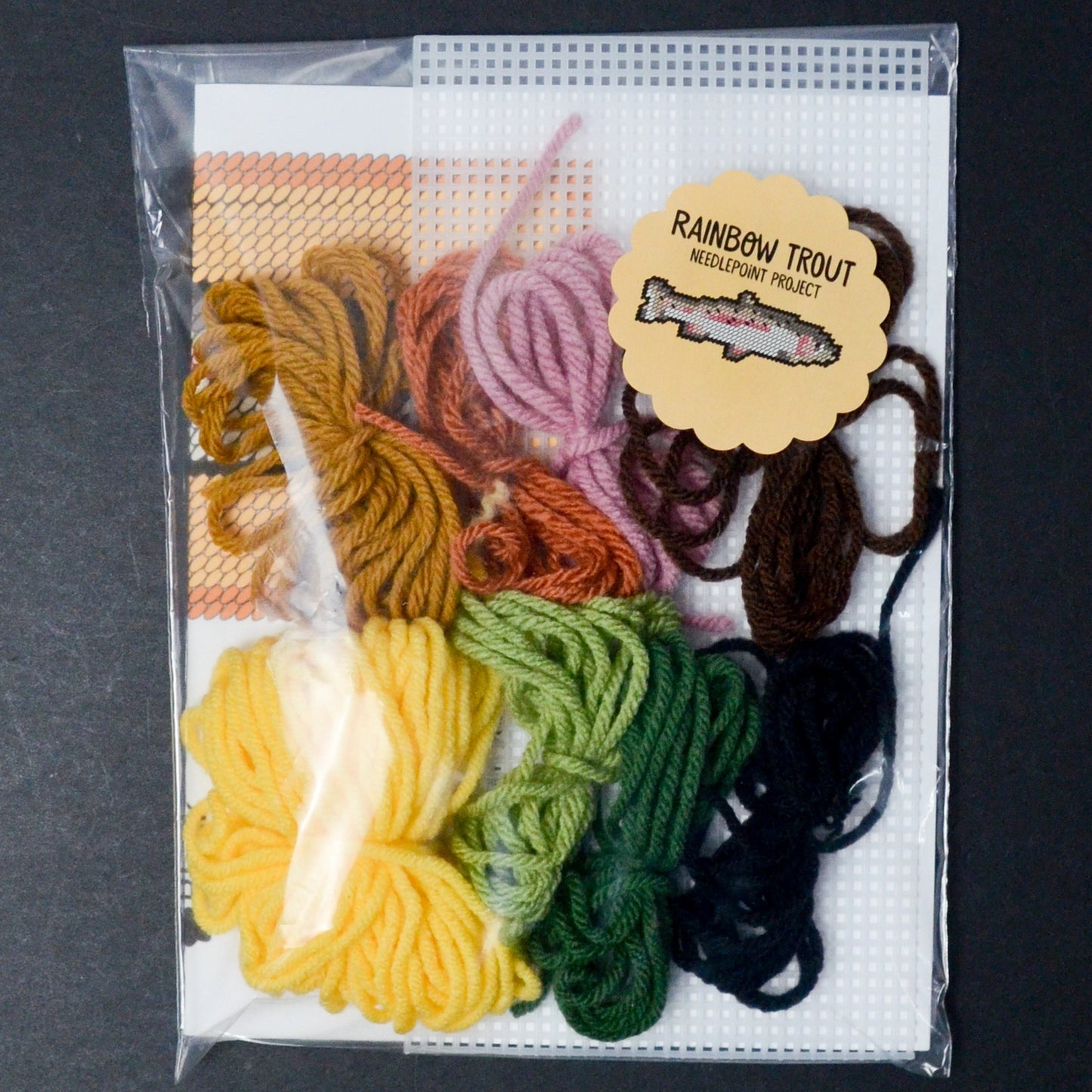 Rainbow trout needlepoint kit - secondhand materials!