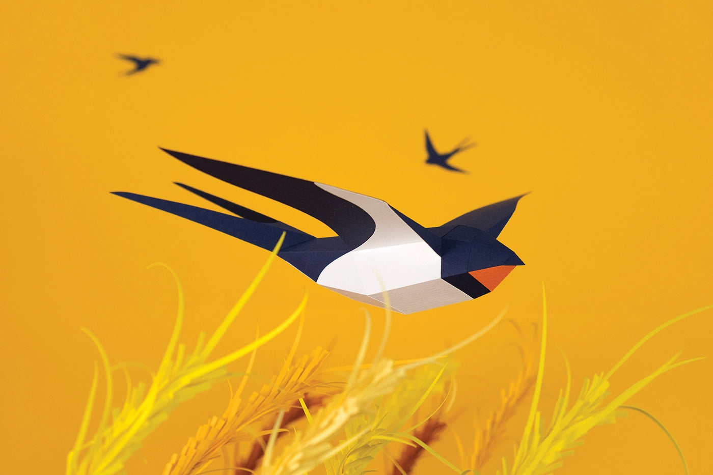 Barn swallow bird papercraft kit