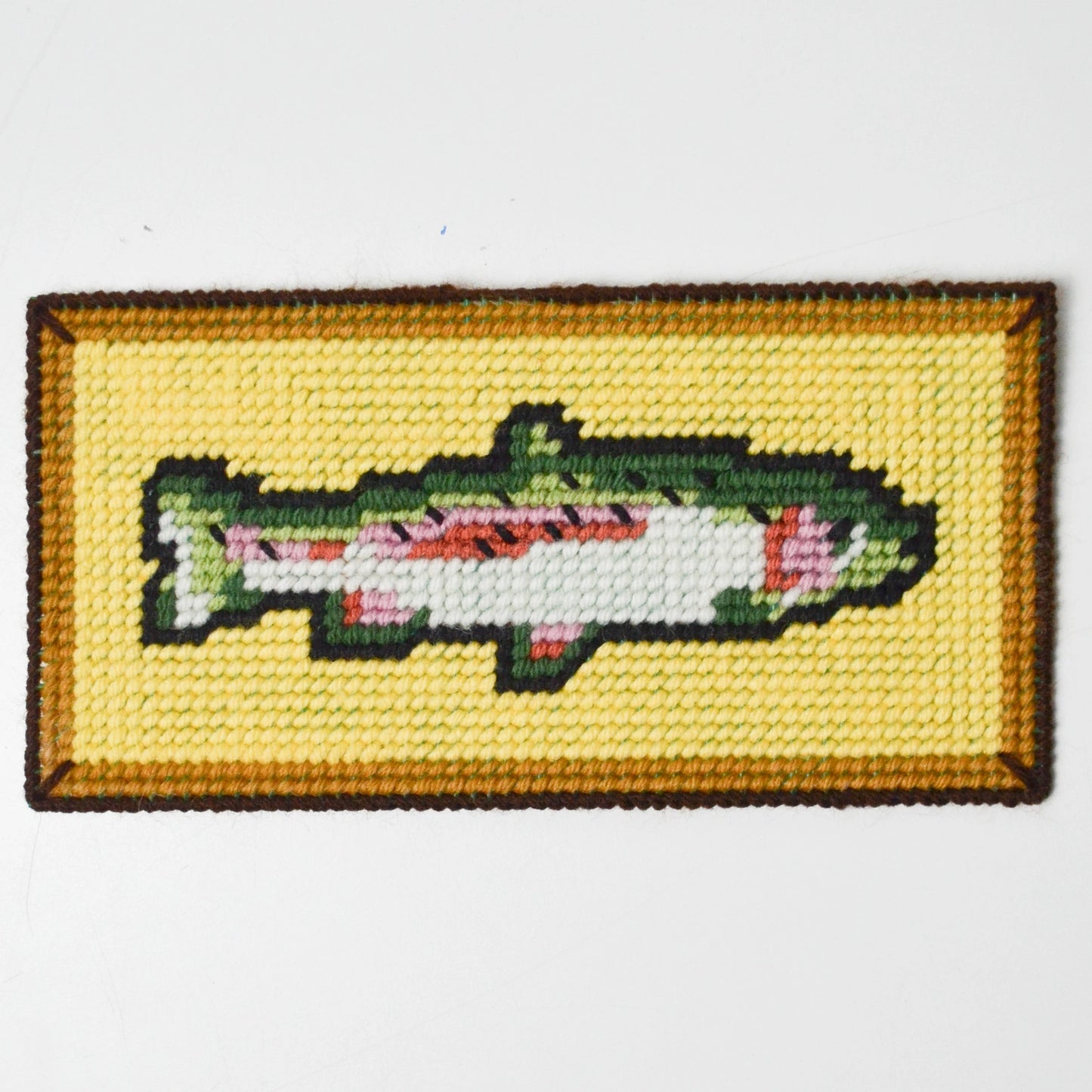Rainbow trout needlepoint kit - secondhand materials!