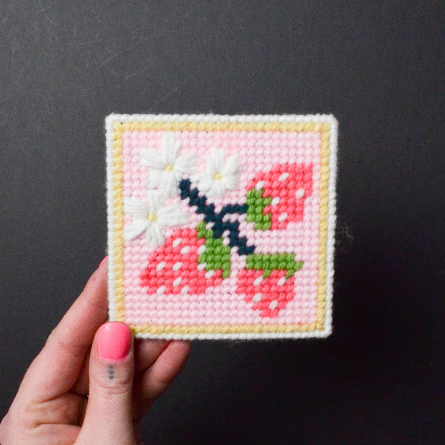 Strawberry patch needlepoint kit - Secondhand materials!