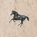 Special Horse - Sticker