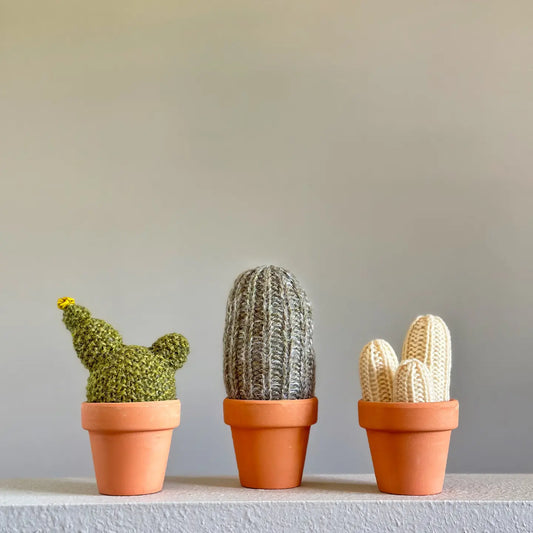 Knit kit - A Prickle of Cactus