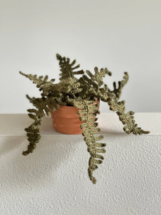 Crochet kit - Forest Fern